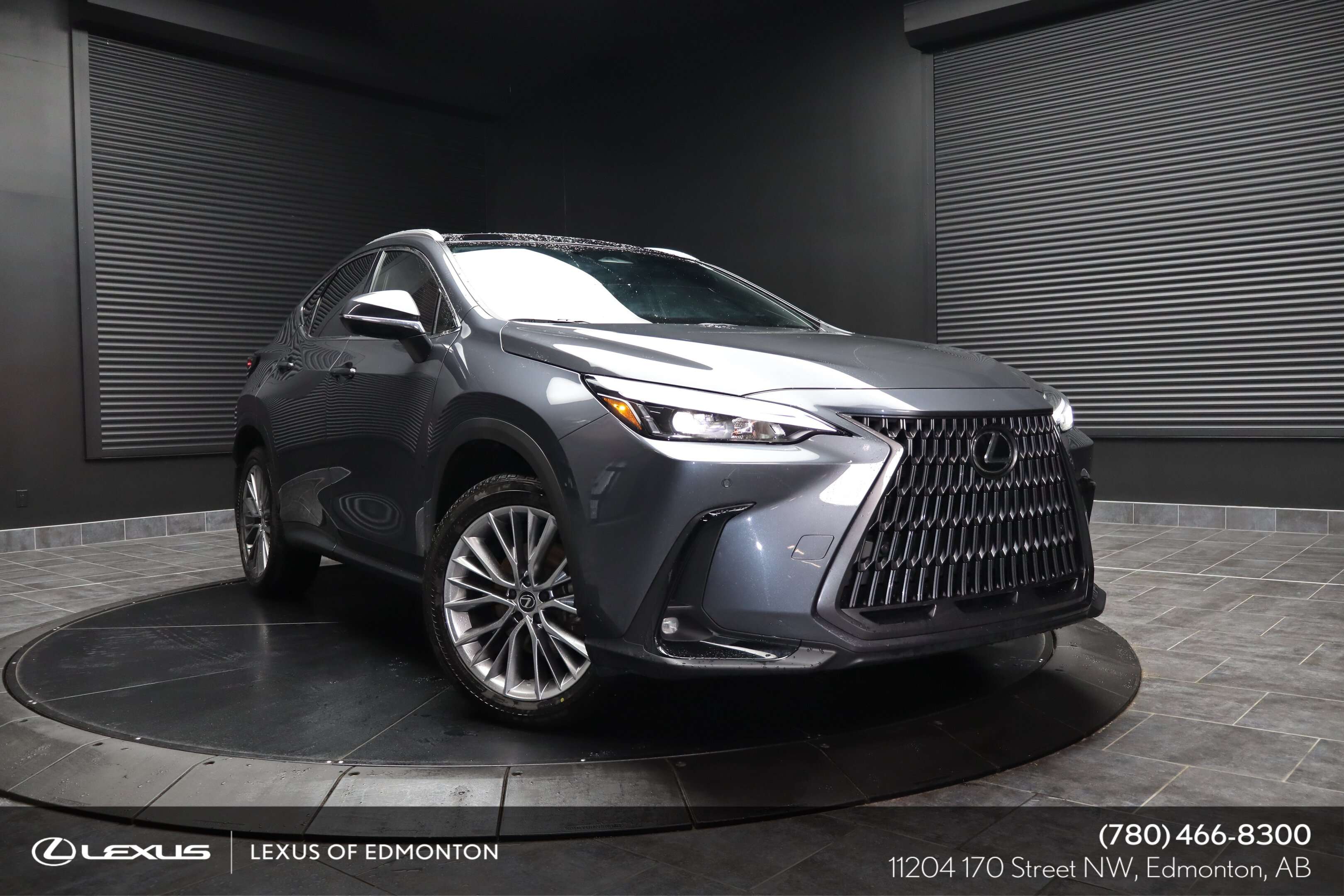 2024 Lexus NX 350 PREMIUM LUXURY PACKAGE