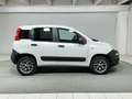 Fiat Panda 1.3 mjt 16v 4x4 s&s 80cv Fiat Panda turbodiesel Weiß - thumbnail 6