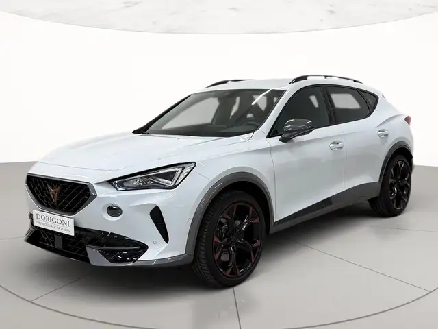 CUPRA Formentor 2.0 tsi vz 245cv dsg