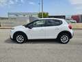 Citroen C3 BlueHDi 100 S&S Business 2 POSTI Weiß - thumbnail 10