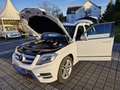 Mercedes-Benz GLK 250 CDI 4Matic - AMG Sport Paket Weiß - thumbnail 11