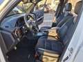 Mercedes-Benz GLK 250 CDI 4Matic - AMG Sport Paket Weiß - thumbnail 13