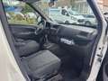 Opel Combo D Kasten L2H1 2,4t TÜV NEU Garantie Weiß - thumbnail 8