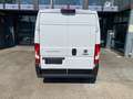 Fiat DUCATO "SOLO 40.000KM""COME NUOVO" Bianco - thumbnail 5