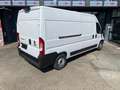 Fiat DUCATO "SOLO 40.000KM""COME NUOVO" Bianco - thumbnail 4