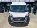 Fiat DUCATO "SOLO 40.000KM""COME NUOVO" Bianco - thumbnail 2
