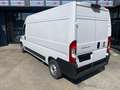 Fiat DUCATO "SOLO 40.000KM""COME NUOVO" Bianco - thumbnail 6