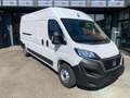Fiat DUCATO "SOLO 40.000KM""COME NUOVO" Bianco - thumbnail 1