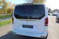 Mercedes-Benz V 220 V 220 d AMG Styling,Nightpaket,7Sitzer Weiß - thumbnail 11