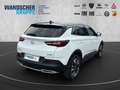 Opel Grandland 1.2 Turbo Business Innovation +Navi+LM Weiß - thumbnail 7