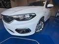 Fiat Tipo SW 1.6 mjt Business s&s 120cv dct my19 - thumbnail 7