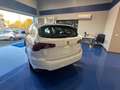 Fiat Tipo SW 1.6 mjt Business s&s 120cv dct my19 - thumbnail 2