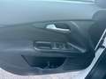 Fiat Tipo SW 1.6 mjt Business s&s 120cv dct my19 - thumbnail 14