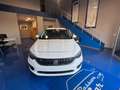 Fiat Tipo SW 1.6 mjt Business s&s 120cv dct my19 - thumbnail 8