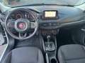 Fiat Tipo SW 1.6 mjt Business s&s 120cv dct my19 - thumbnail 10