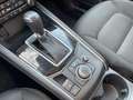 Mazda CX-5 CD150 AWD Revolution Aut. 20 Zoll AHK Sport Weiß - thumbnail 14