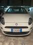 Fiat Punto Evo 5p 1.3 mjt Blue&Me s&s 75cv Bianco - thumbnail 7