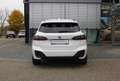 BMW 223 d xDrive Active Tourer M Sport AHK HeadUp Cam Weiß - thumbnail 5