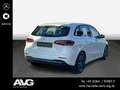 Mercedes-Benz B 200 B 200 4M Style RFK Klima MBUX Tempomat SHZ Navi Weiß - thumbnail 4