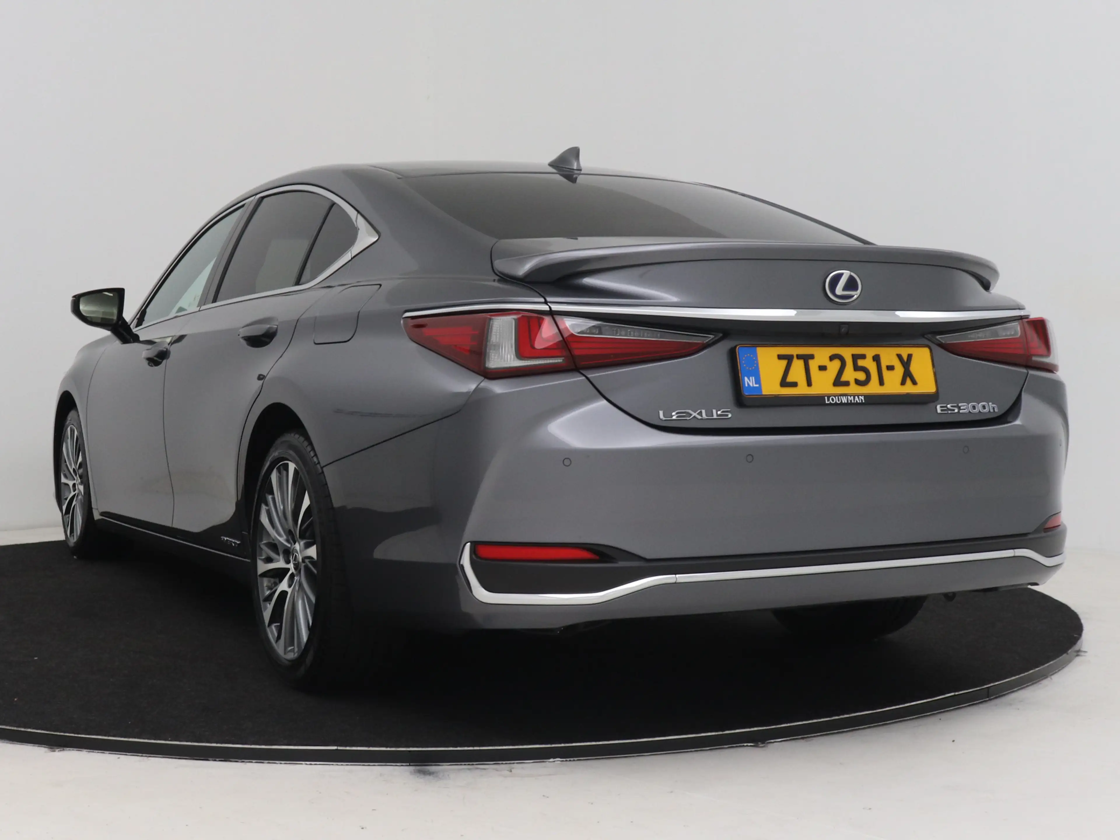 Lexus ES 300 300h Luxury Line | Memory Seat | Bruin Leder | Sto — photo 12