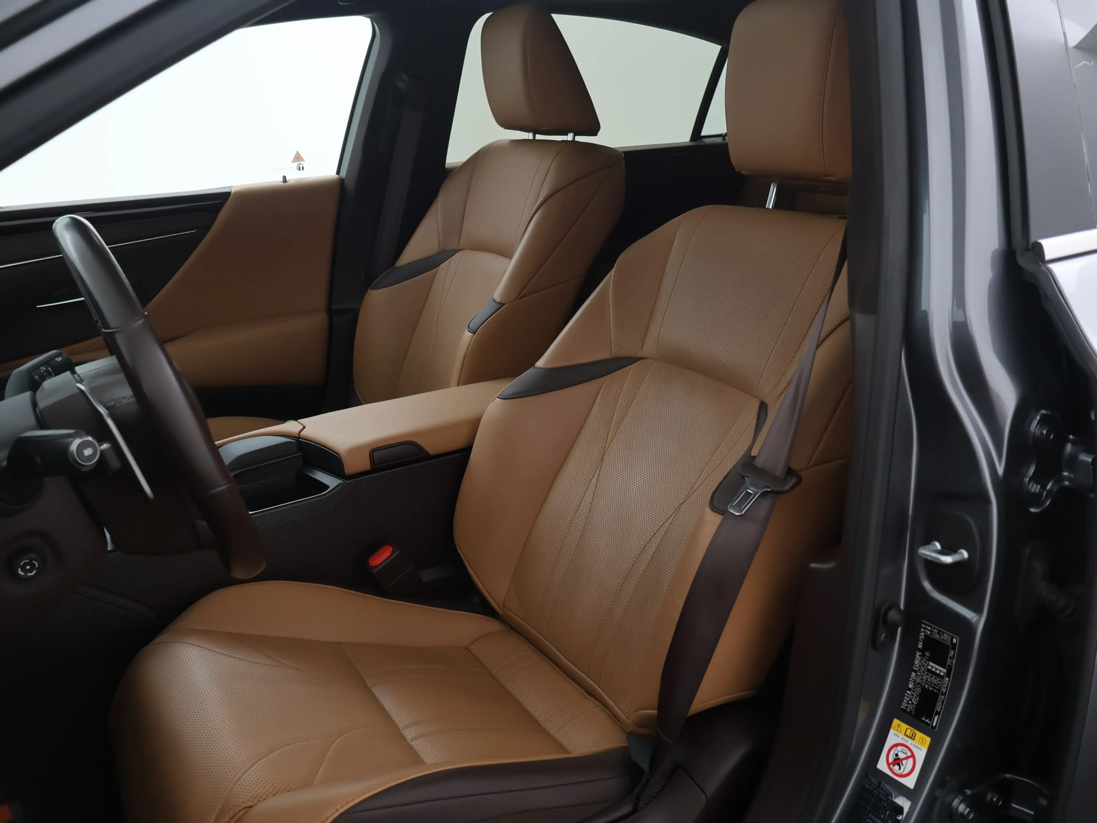 Lexus ES 300 300h Luxury Line | Memory Seat | Bruin Leder | Sto — photo 13