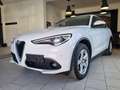 Alfa Romeo Stelvio 2.2 Turbodiesel 210 CV AT8 Q4 Executive Bianco - thumbnail 12