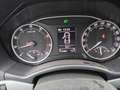 Skoda Octavia 1.2 TSI ARCTIC / NAVI / PDC Gris - thumbnail 27