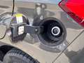 Ford EcoSport 1.0 ecoboost Titanium 100cv Grigio - thumbnail 13