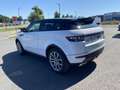 Land Rover Range Rover Evoque 2.2 TD4 PURE BVA MARK I Wit - thumbnail 7
