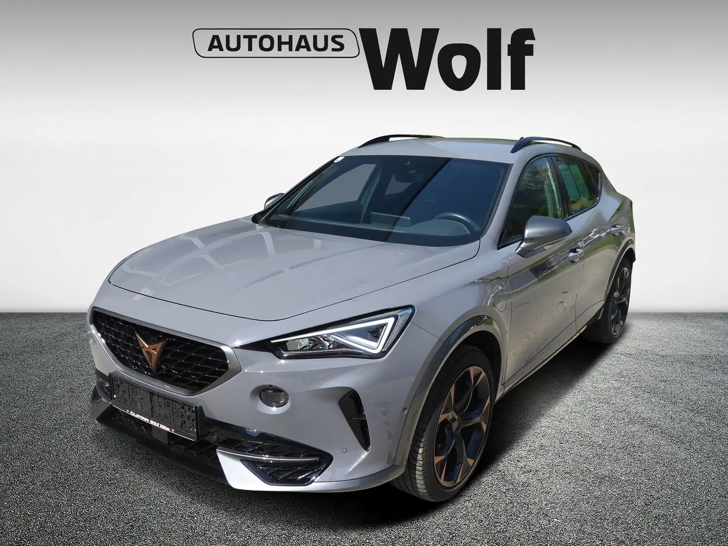 CUPRA Formentor VZ e-HYBRID 245 PS DSG Grau - 1