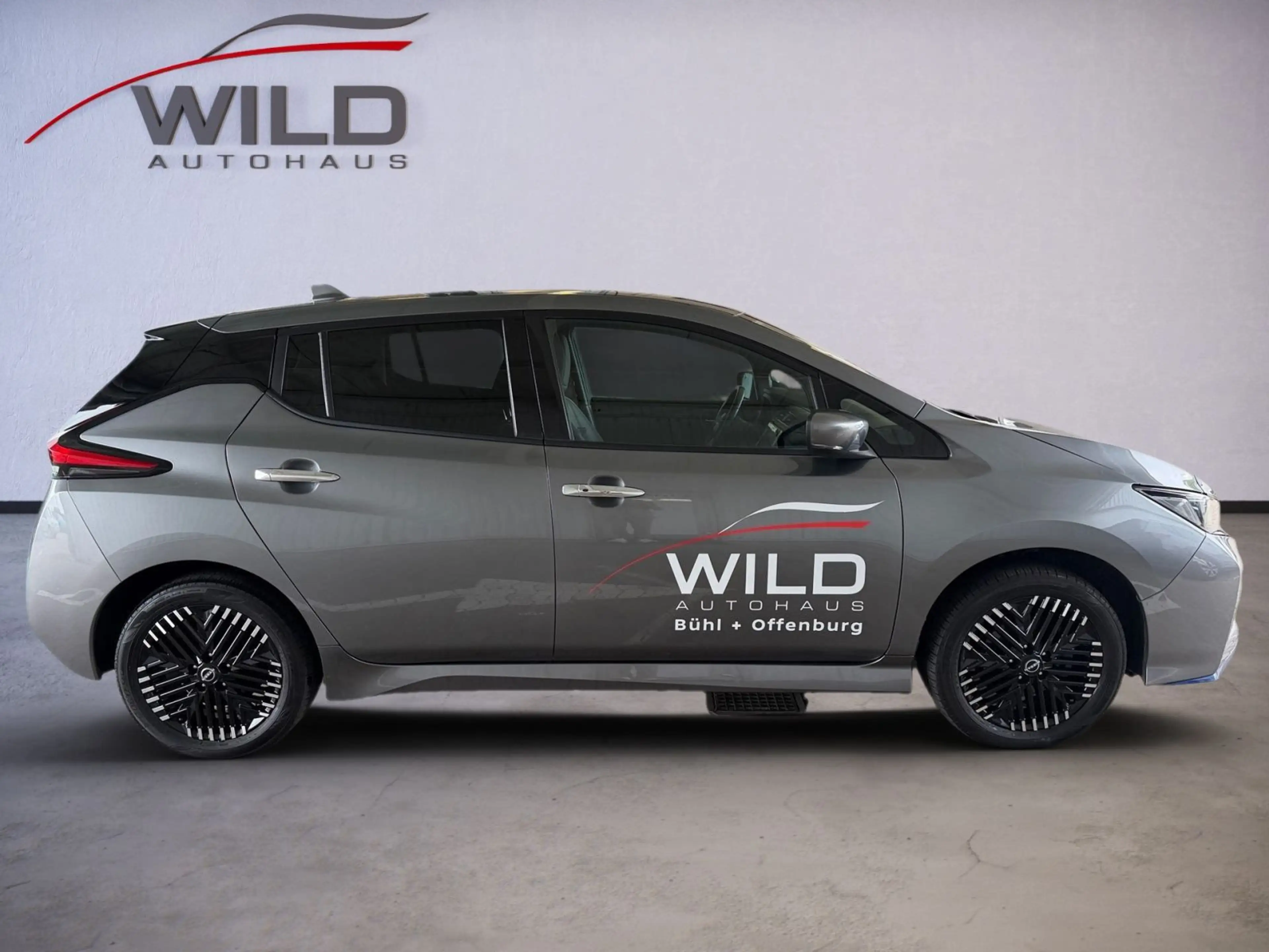 Nissan Leaf e+ | 59 kWh | Tekna | 360° | Navi | BOSE — photo 4