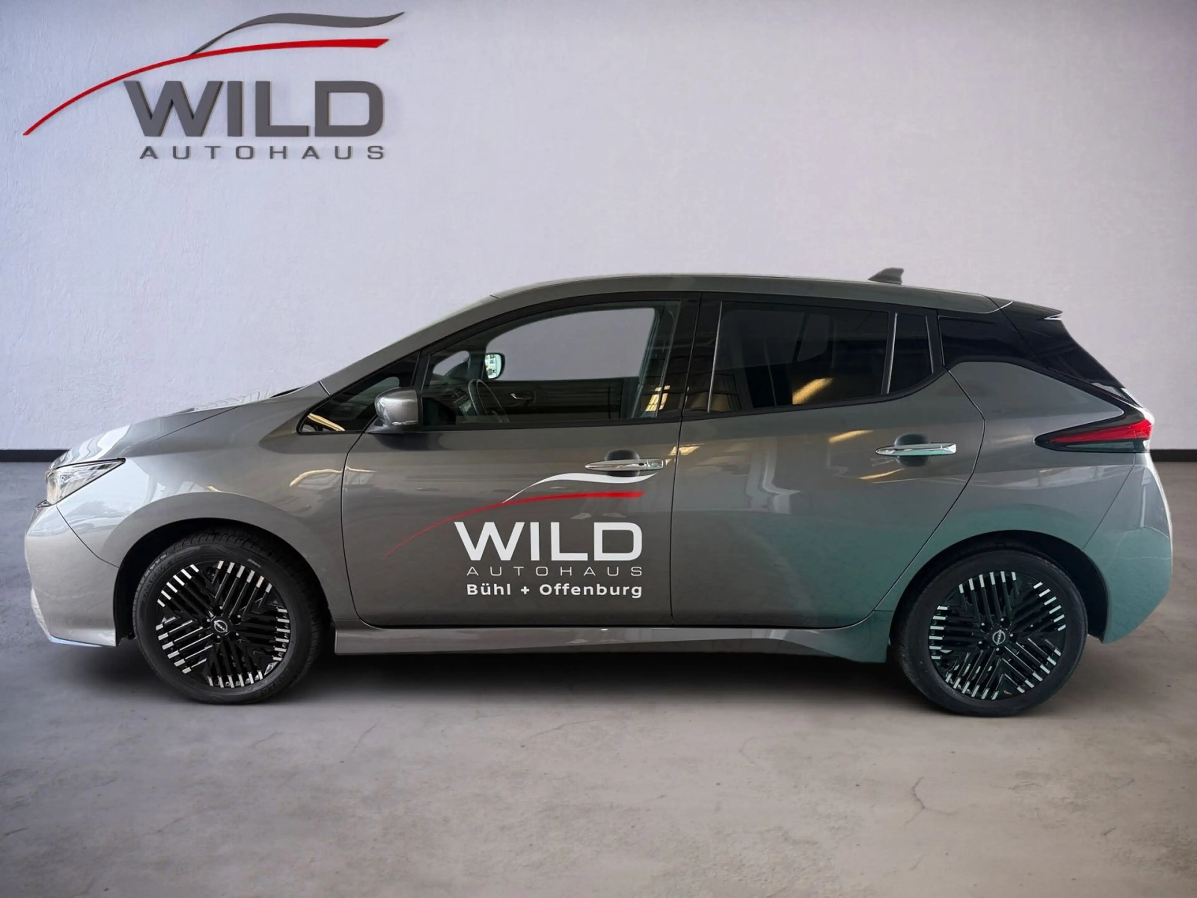 Nissan Leaf e+ | 59 kWh | Tekna | 360° | Navi | BOSE — photo 8