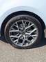 SEAT Alhambra Executive Plus 2,0 TDI CR DSG - thumbnail 2