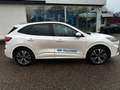 Ford Kuga KUGA ST-LINE X PHEV Pano+LED+iACC+AHK.schwenkbar Blanc - thumbnail 9