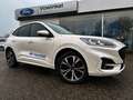 Ford Kuga KUGA ST-LINE X PHEV Pano+LED+iACC+AHK.schwenkbar Blanc - thumbnail 1