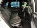Ford Kuga KUGA ST-LINE X PHEV Pano+LED+iACC+AHK.schwenkbar Blanc - thumbnail 12