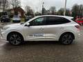 Ford Kuga KUGA ST-LINE X PHEV Pano+LED+iACC+AHK.schwenkbar Blanc - thumbnail 4