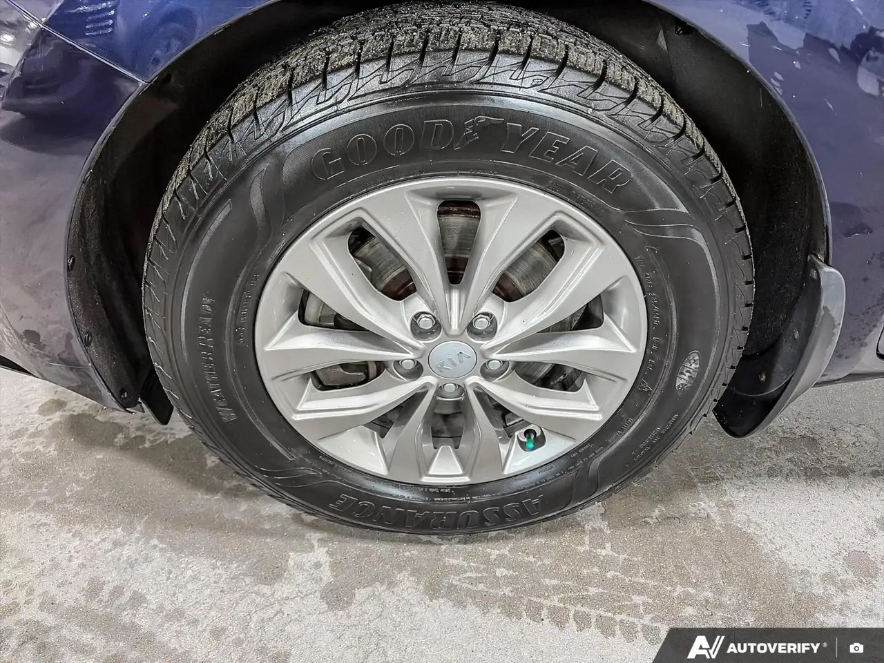 Kia Sedona снимка Kia Sedona