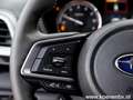 Subaru Forester 2.0i e-Boxer 4x4 Aut Platinum / Premium NL Grün - thumbnail 25