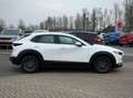 Mazda CX-30 2.0 e-skyactive-G M hybrid trekhaak head-up carpla Weiß - thumbnail 6