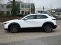 Mazda CX-30 2.0 e-skyactive-G M hybrid trekhaak head-up carpla Weiß - thumbnail 2