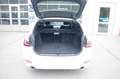 BMW 318 d Touring Steptronic, AHK,Kühlergrill schwarz Blanc - thumbnail 13
