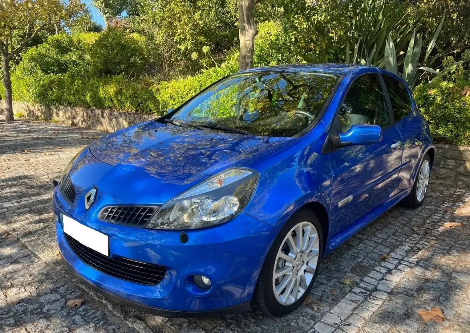 Renault Clio Clio 2.0 16V Renault Sport Blau - 1