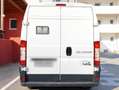Fiat Ducato 250/CMMFC/EY Weiß - thumbnail 6