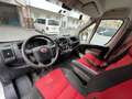 Fiat Ducato 250/CMMFC/EY Weiß - thumbnail 11