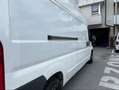 Fiat Ducato 250/CMMFC/EY Weiß - thumbnail 2