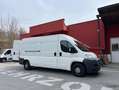 Fiat Ducato 250/CMMFC/EY Weiß - thumbnail 1