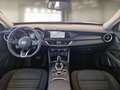 Alfa Romeo Stelvio 2.2 Turbo Diesel 190CV Business AT8 Q4 - thumbnail 7