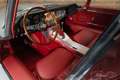 Jaguar E-Type S1 Coupe 3.8|Gerestaureerd|Concoursstaat| 1964 Gris - thumbnail 2