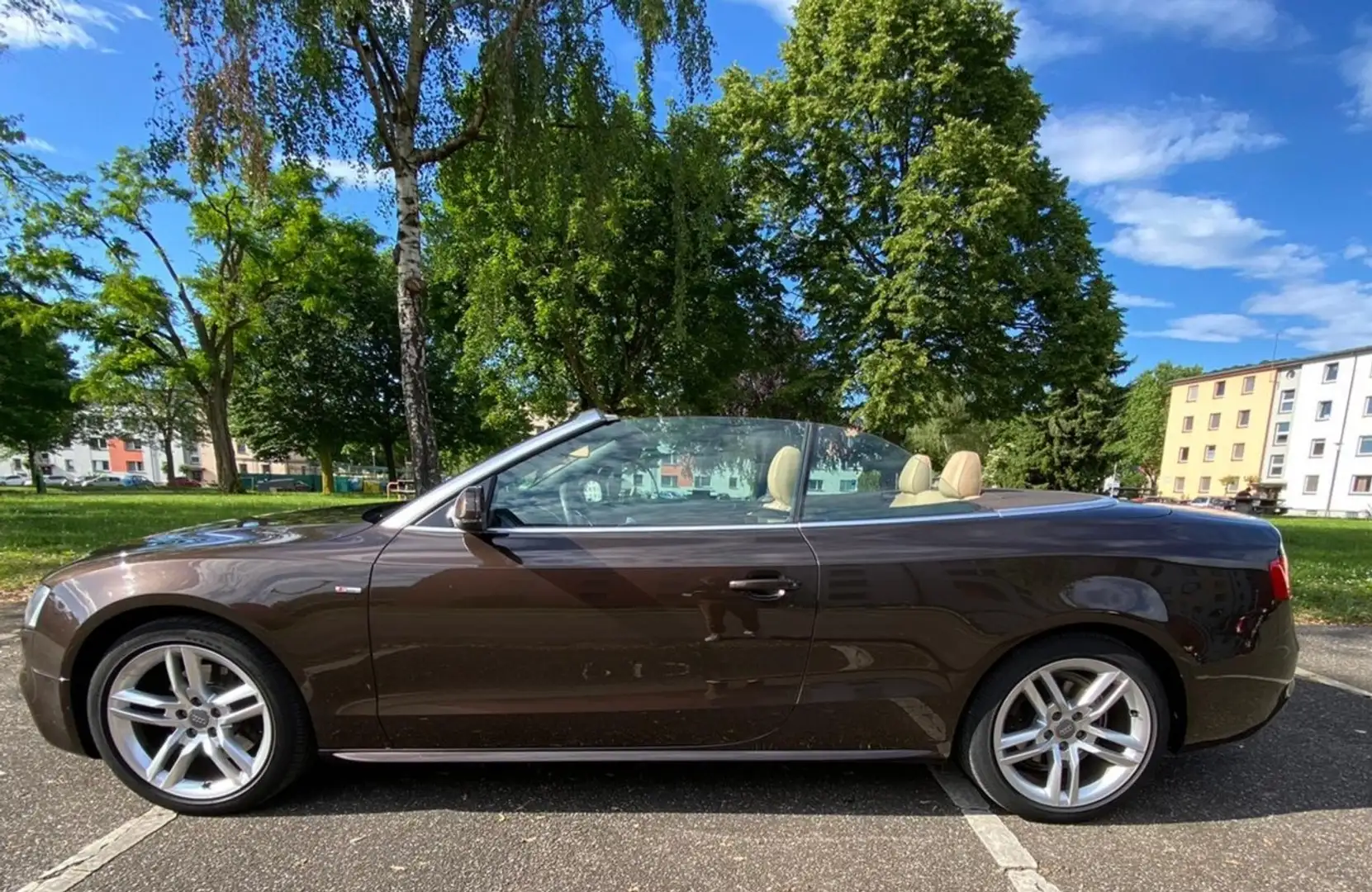 Audi A5 Cabrio 3.0 TDI DPF quattro S tronic - 2